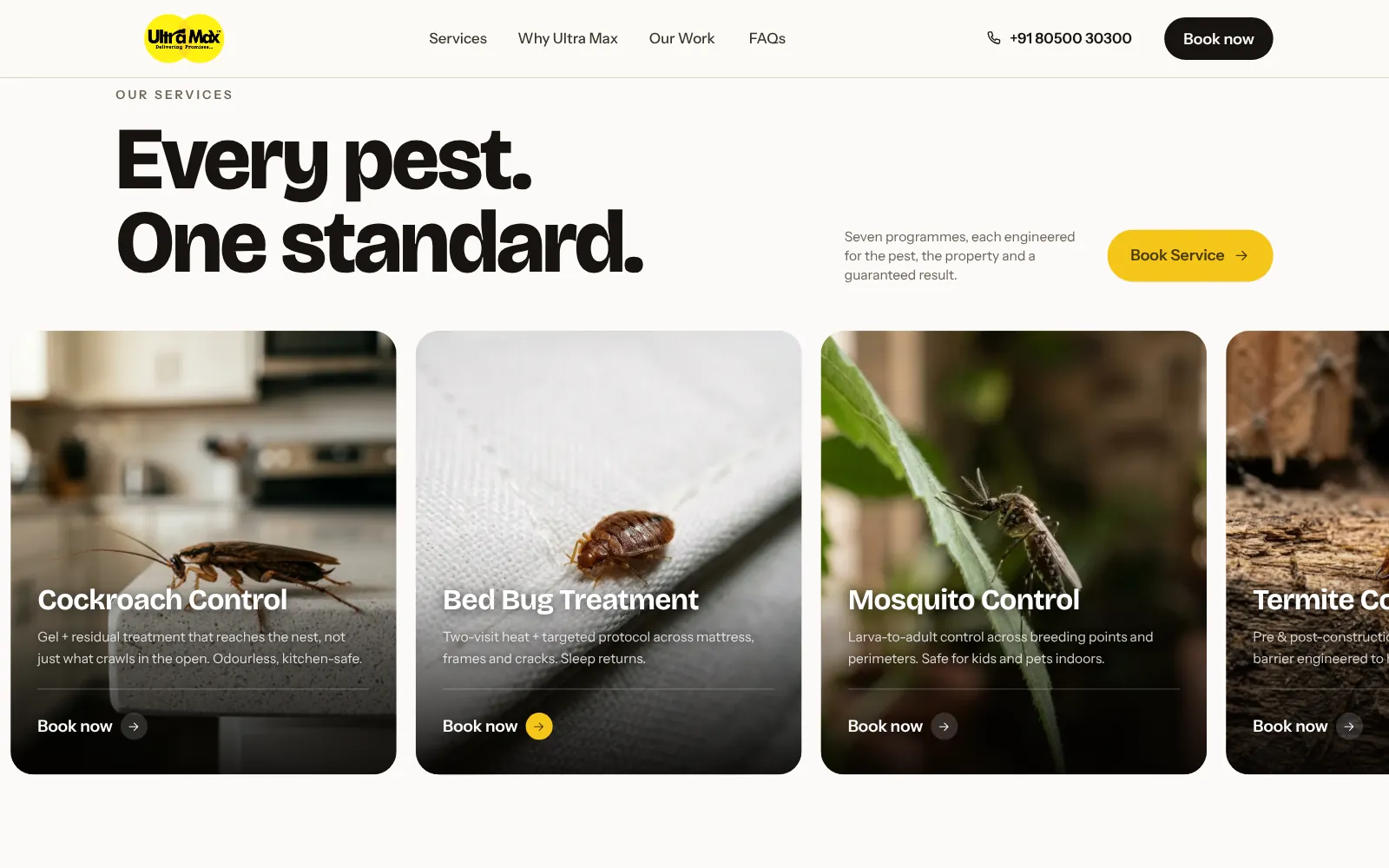 Ultra Max India, website screen two